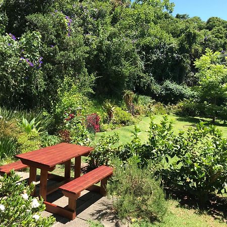 Loeriewood Garden Apartment, Hunters Home Knysna Ngoại thất bức ảnh