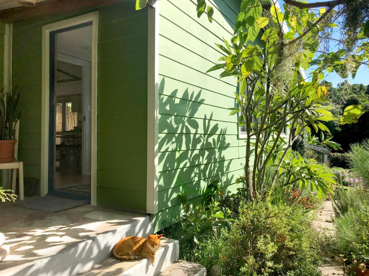 Loeriewood Garden Apartment, Hunters Home Knysna Ngoại thất bức ảnh